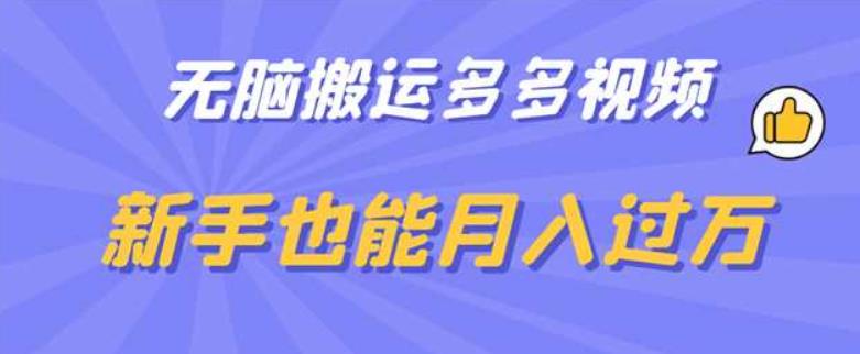 无脑搬运多多视频，新手也能月入过万【揭秘】-甬战资源库