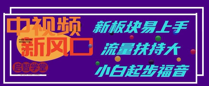 中视频新风口，新板块易上手，流量扶持大，小白起步福音【揭秘】-甬战资源库