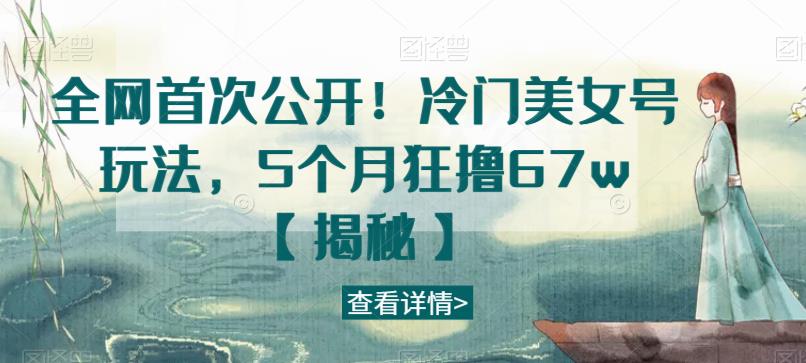 全网首次公开！冷门美女号玩法，5个月狂撸67w【揭秘】-甬战资源库