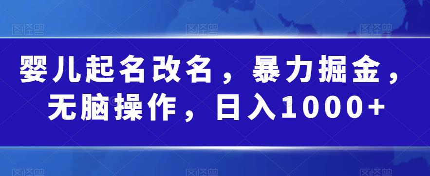 婴儿起名改名，暴力掘金，无脑操作，日入1000+【揭秘】-甬战资源库