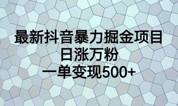 最新抖音暴力掘金项目，日涨万粉，一单变现500+【揭秘】-甬战资源库