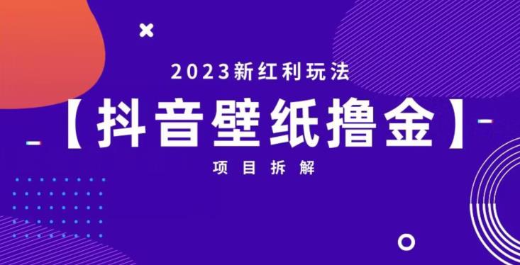 抖音壁纸小程序创作者撸金项目，2023新红利玩法【项目拆解】-甬战资源库