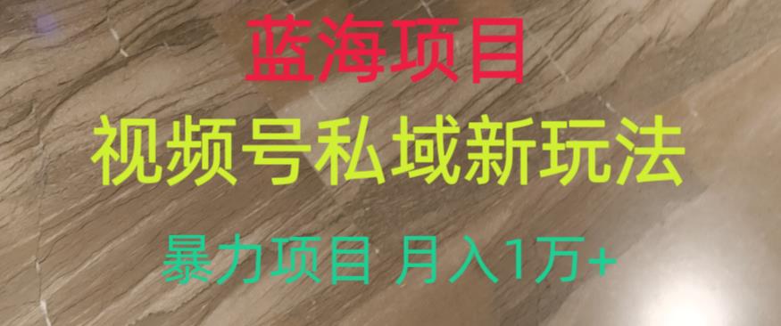 蓝海项目，视频号私域新玩法，暴力项目月入1万+【揭秘】-甬战资源库