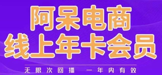 阿呆电商线上年会员，阿呆电商干货分享（更新中）-甬战资源库