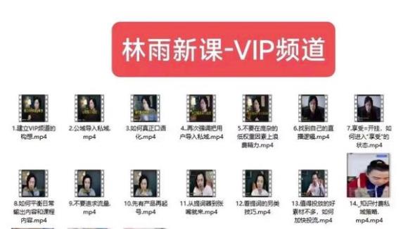 林雨新课VIP频道，玩赚私域/朋友圈/社群-甬战资源库