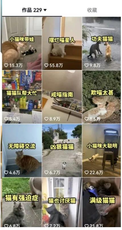 拆解：抖音盘点类中视频变现副业项目，视频版一条龙大解析分享给你-甬战资源库