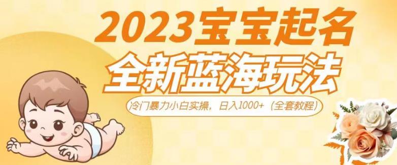 2023宝宝起名全新蓝海玩法，冷门暴力小白实操，日入1000+（全套教程）【揭秘】-甬战资源库