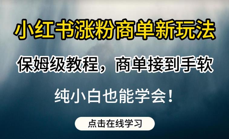 小红书涨粉商单新玩法，保姆级教程，商单接到手软，纯小白也能学会【揭秘】-甬战资源库