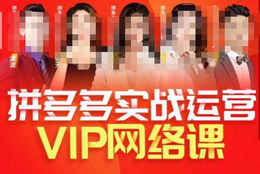 推易拼多多VIP全套直播课程，拼多多店铺实操玩法+实战玩法选款内功+直通车高阶等-甬战资源库