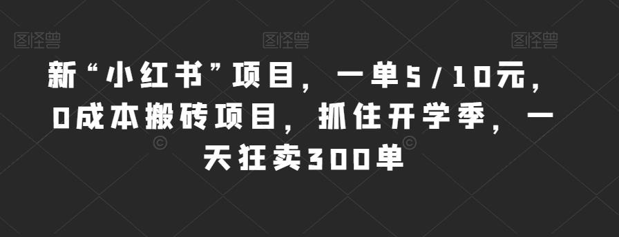 新“小红书”项目，一单5/10元，0成本搬砖项目，抓住开学季，一天狂卖300单【揭秘】-甬战资源库