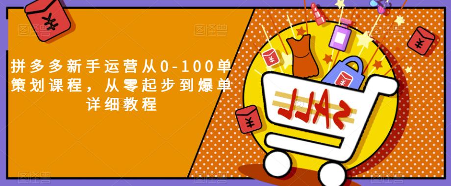 拼多多新手运营从0-100单策划课程，从零起步到爆单详细教程-甬战资源库