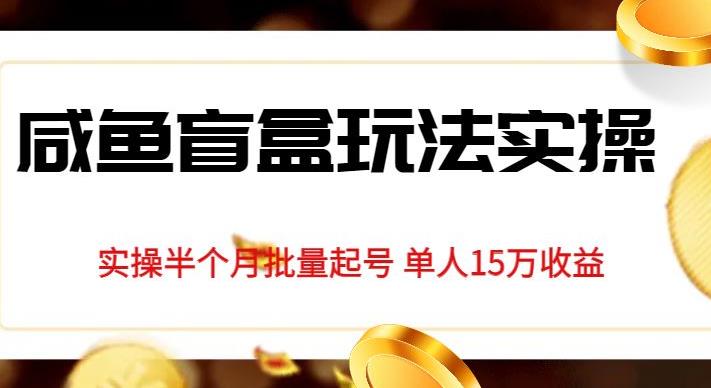 独家首发咸鱼盲盒玩法实操，半个月批量起号单人15万收益【揭秘】-甬战资源库