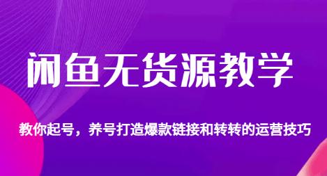 闲鱼无货源教学，教你起号，养号打造爆款链接以及转转的运营技巧-甬战资源库