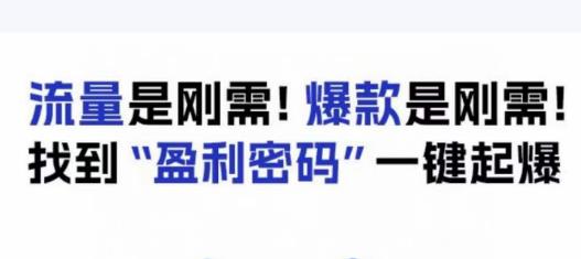 电商盈利精品课：6大盈利密码让产品更好卖，流量是刚需！爆款是刚需！找到”盈利密码”一键起爆-甬战资源库