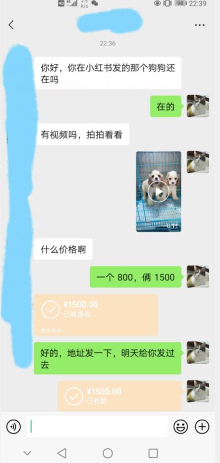 外边收费3980的同城萌宠项目，用最冷门的玩法冲击最热门的市场【揭秘】-甬战资源库