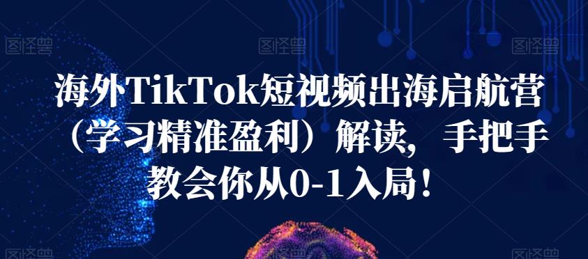 海外TikTok短视频出海启航营（学习精准盈利）解读，手把手教会你从0-1入局！-甬战资源库