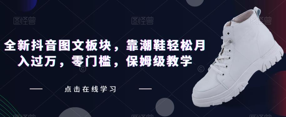 全新抖音图文板块，靠潮鞋轻松月入过万，零门槛，保姆级教学【揭秘】-甬战资源库