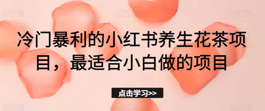 冷门暴利的小红书养生花茶项目，最适合小白做的项目【揭秘】-甬战资源库