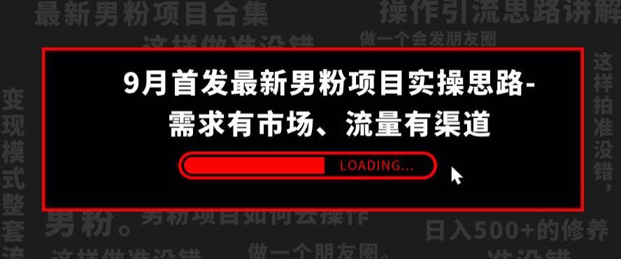 9月首发最新男粉项目实操思路-需求有市场，流量有渠道【揭秘】-甬战资源库