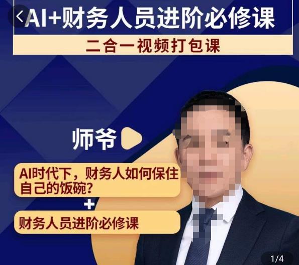 AI+财务人员进阶必修课二合一视频打包课，财务人员进阶必修课-甬战资源库