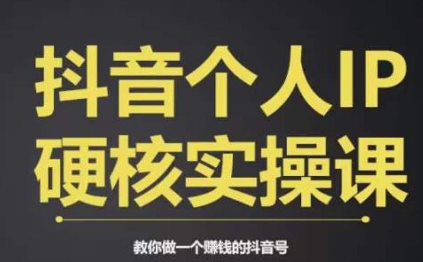 个人IP创富系统实战课，商业定位，流量打造，短视频变现，教你做个赚钱的抖音号-甬战资源库