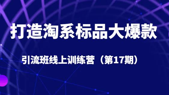打造淘系标品大爆款引流班线上训练营（第17期）5天直播授课-甬战资源库