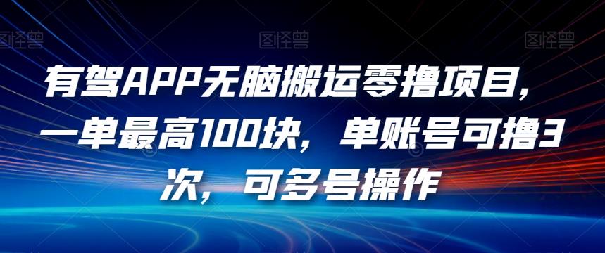 有驾APP无脑搬运零撸项目，一单最高100块，单账号可撸3次，可多号操作【揭秘】-甬战资源库