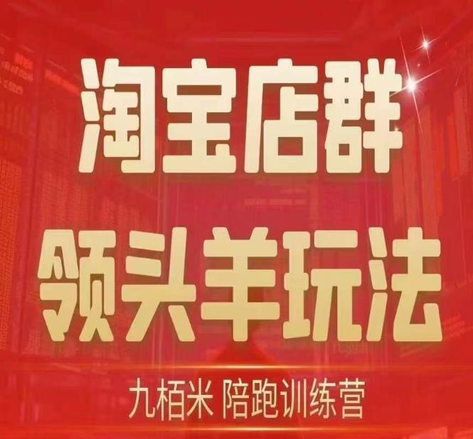 九栢米-淘宝店群领头羊玩法，教你整个淘宝店群领头羊玩法以及精细化/终极蓝海/尾销等内容-甬战资源库
