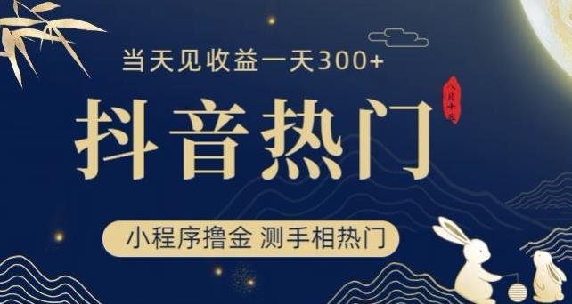 抖音最新小程序撸金，测手相上热门，当天见收益一小时变现300+【揭秘】-甬战资源库