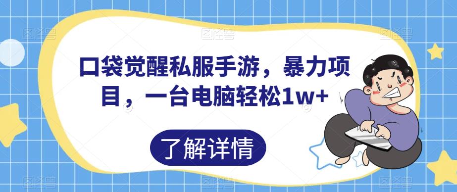 口袋觉醒私服手游，暴力项目，一台电脑轻松1w+【揭秘】-甬战资源库
