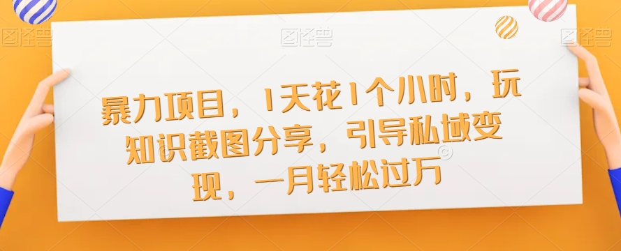 暴力项目，1天花1个小时，玩知识截图分享，引导私域变现，一月轻松过万【截图】-甬战资源库