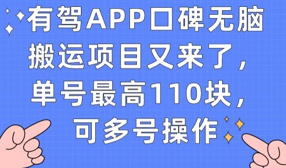 有驾APP口碑无脑搬运项目又来了，单号最高110块，可多号操作-甬战资源库