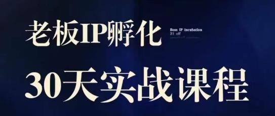 诸葛·2023老板IP实战课，实体同城引流获客，IP孵化必听-甬战资源库