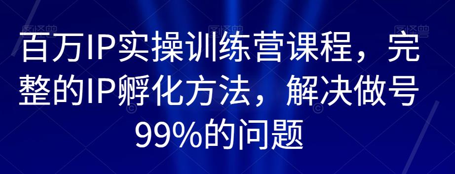 百万IP实操训练营课程，完整的IP孵化方法，解决做号99%的问题-甬战资源库