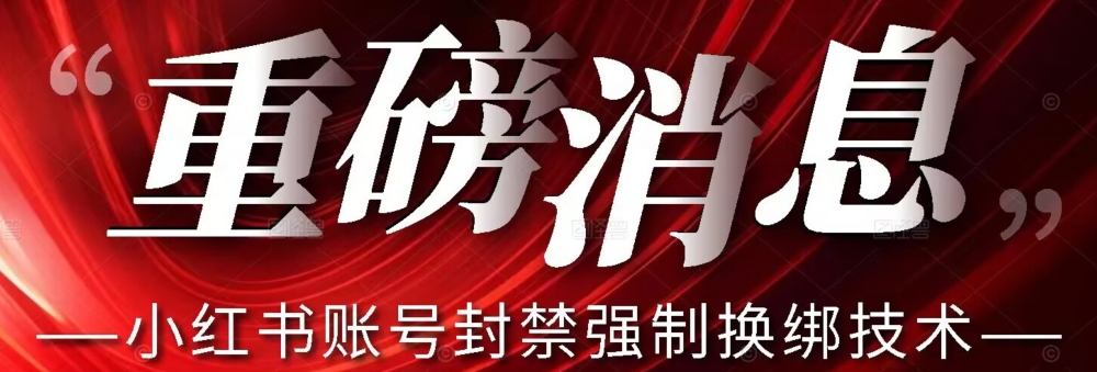 【最新】小红书账号封禁强制换绑技术可日赚300-甬战资源库