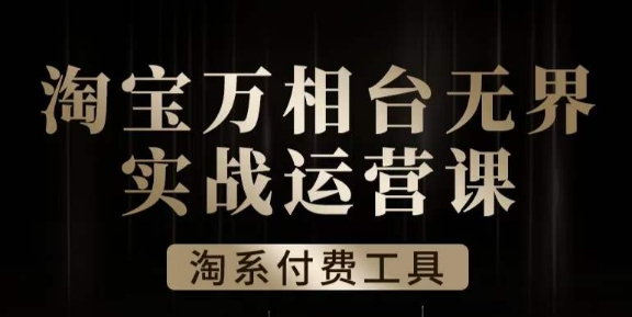沧海·淘系万相台无界实战运营课，万相台无界实操全案例解析-甬战资源库