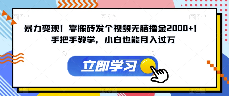 暴力变现！靠搬砖发个视频无脑撸金2000+！手把手教学，小白也能月入过万【揭秘】-甬战资源库