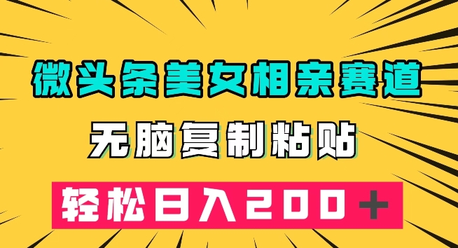 微头条冷门美女相亲赛道，无脑复制粘贴，轻松日入200＋【揭秘】-甬战资源库
