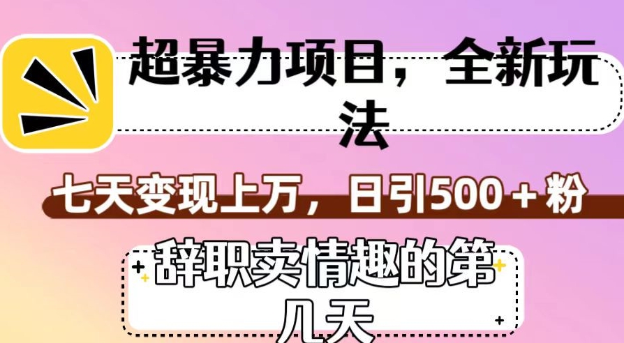 超暴利项目，全新玩法（辞职卖情趣的第几天），七天变现上万，日引500+粉【揭秘】-甬战资源库
