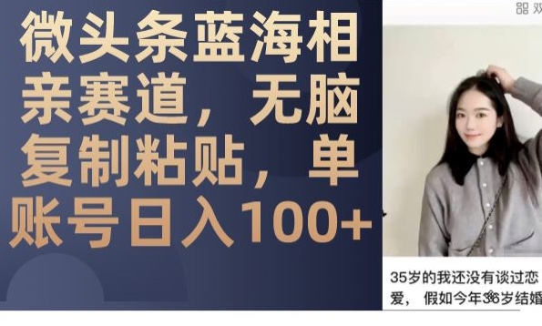 微头条蓝海相亲赛道，无脑复制粘贴，单账号日入100+-甬战资源库
