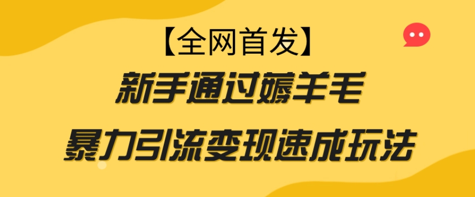 【全网首发】新手通过薅羊毛暴力引流变现速成玩法-甬战资源库