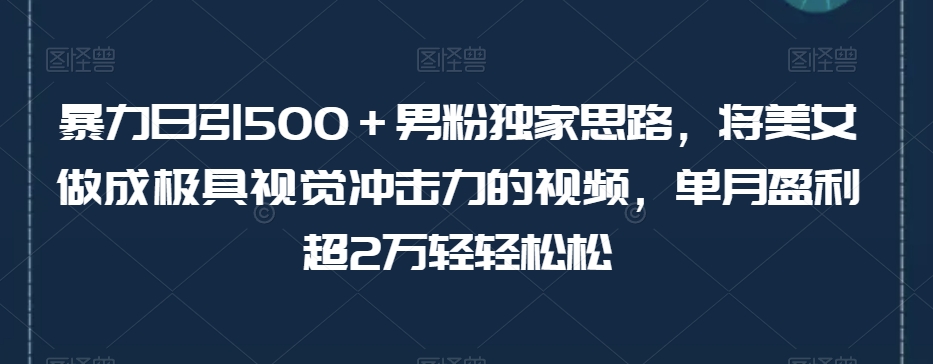 暴力日引500＋男粉独家思路，将美女做成极具视觉冲击力的视频，单月盈利超2万轻轻松松-甬战资源库