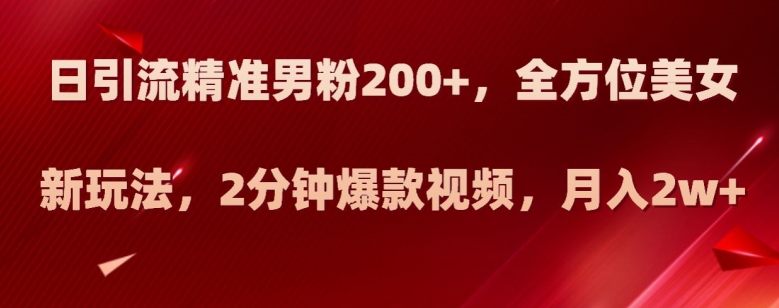 日引流精准男粉200+，全方位美女新玩法，2分钟爆款视频，月入2w+【揭秘】-甬战资源库