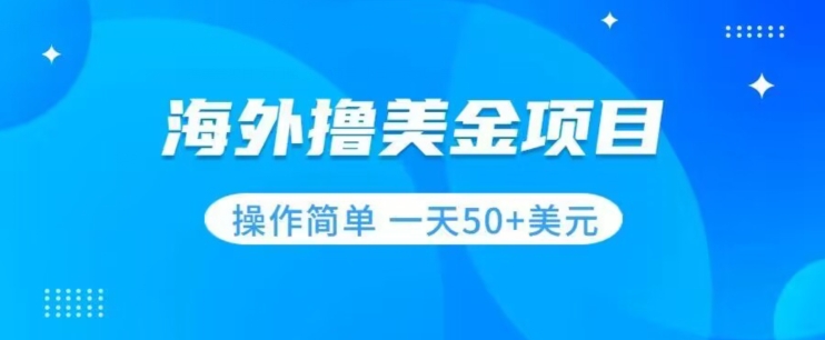 撸美金项目无门槛操作简单小白一天50+美刀-甬战资源库