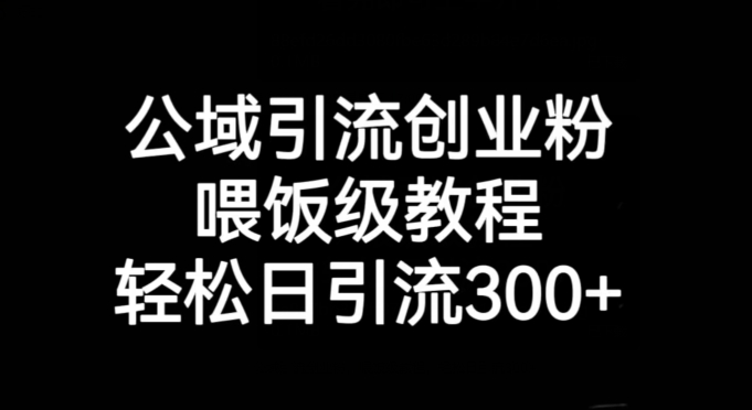 公域引流创业粉，喂饭级教程，轻松日引流300+【揭秘】-甬战资源库
