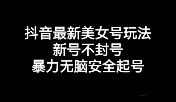 抖音最新美女号玩法，新号不封号，暴力无脑安全起号【揭秘】-甬战资源库