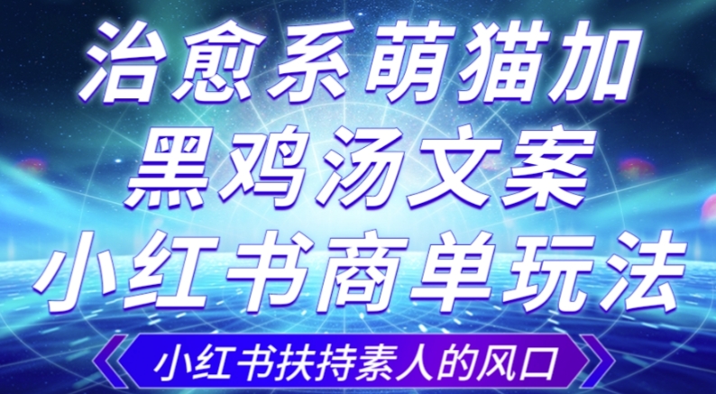 治愈系萌猫加+黑鸡汤文案，小红书商单玩法，3~10天涨到1000粉，一单200左右-甬战资源库