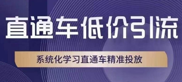 直通车低价引流课，系统化学习直通车精准投放-甬战资源库