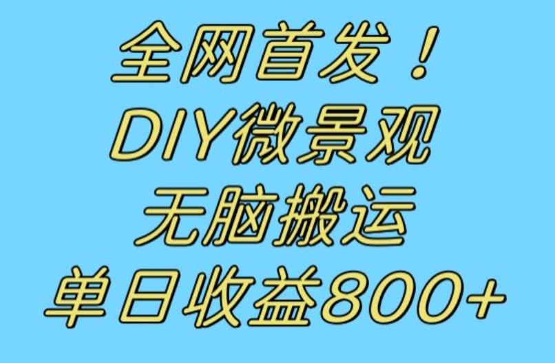 全网首发冷门赛道！DIY微景观，无脑搬运视频，日收益800+【揭秘】-甬战资源库