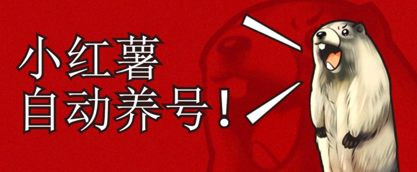 小红书养号秘籍，如何自动涨粉清晰系统标签打造高权重账号【揭秘】-甬战资源库